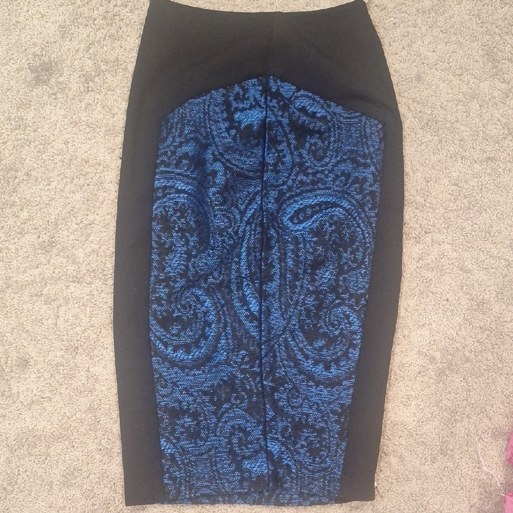 Ted Baker Elegant Lace Skirt 0